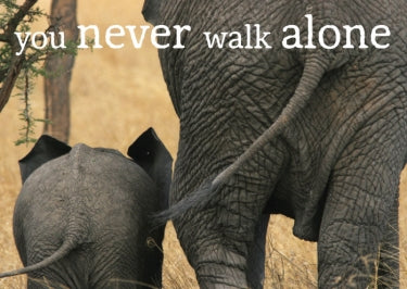 Wenskaart You never walk alone – Zintenz Organic Cards