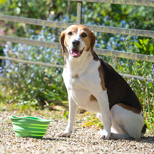 Beco Travel Bowl - Beco Pets