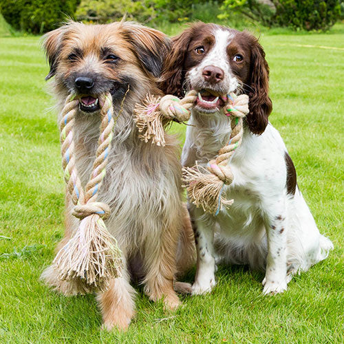 Beco Rope - Jungle Triple Knot - Beco Pets