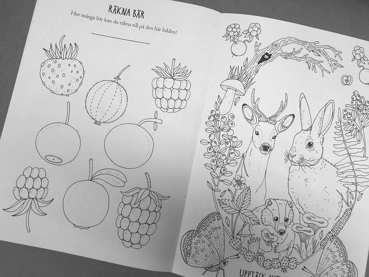 Upptäck naturen - en målar- och pysselbok – Eplaros