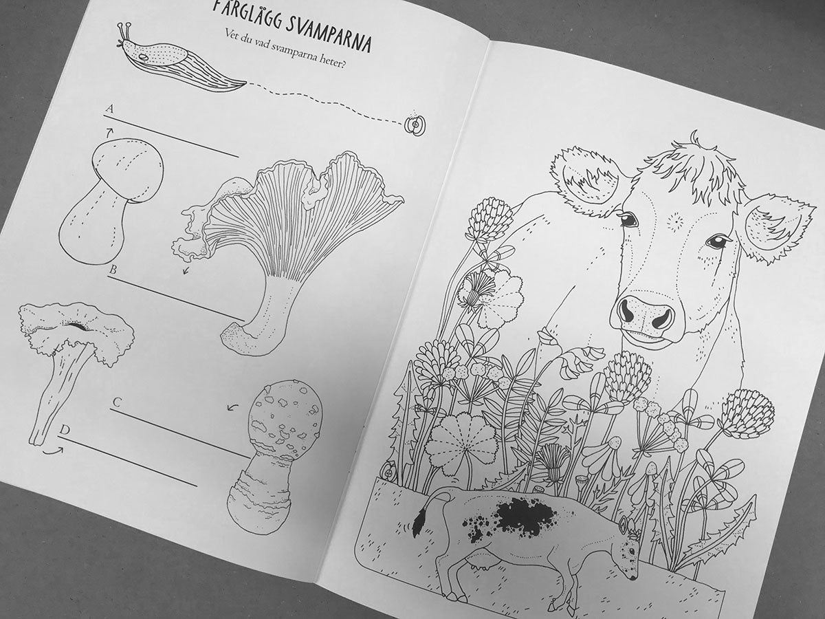 Upptäck naturen - en målar- och pysselbok – Eplaros