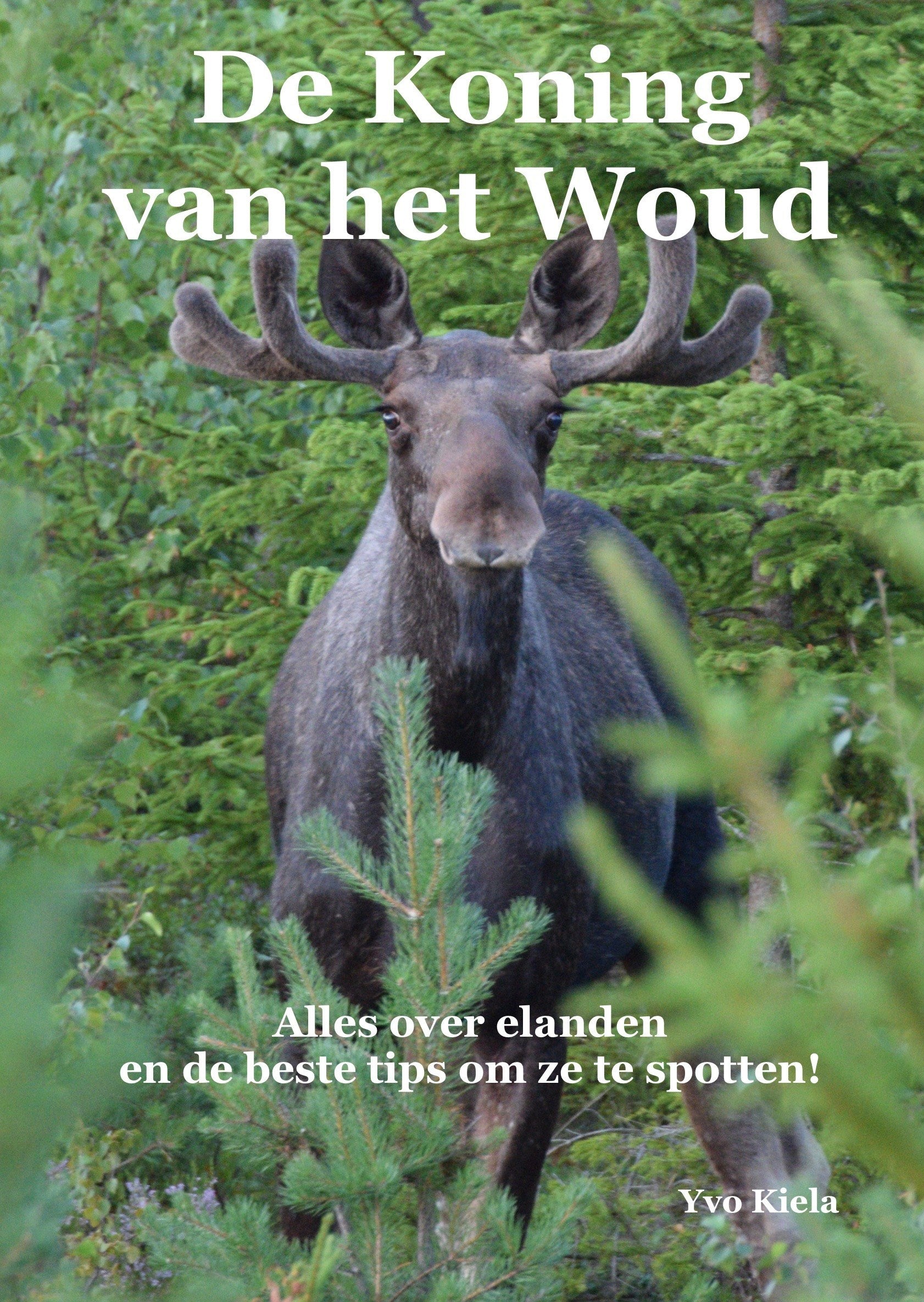 De Koning van het Woud: Alles over elanden en de beste tips om ze te spotten - Yvo Kiela