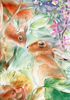 Kaart Wat wil je? - Marie Laure Viriot