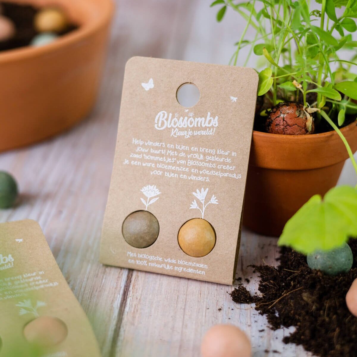 Weggeefcadeautje 2 zaadbommetjes – Blossombs