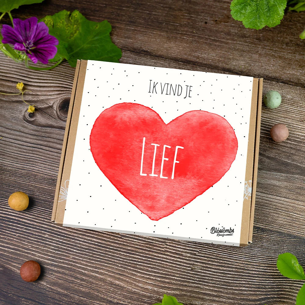Zaadbommetjes Giftbox Medium “Ik vind je lief” - Blossombs