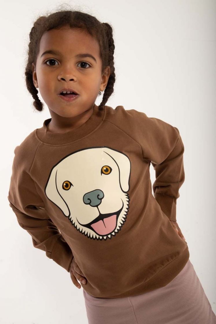 Trui Bellow Sweat NOOS Brown Beige RETRIEVER - Danefae / DYR