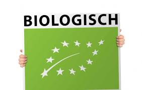 Bio Chocolade Salted pecan (glutenvrij & vegan) - Lovechock