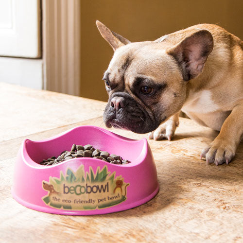 Beco Bowl - Beco Pets