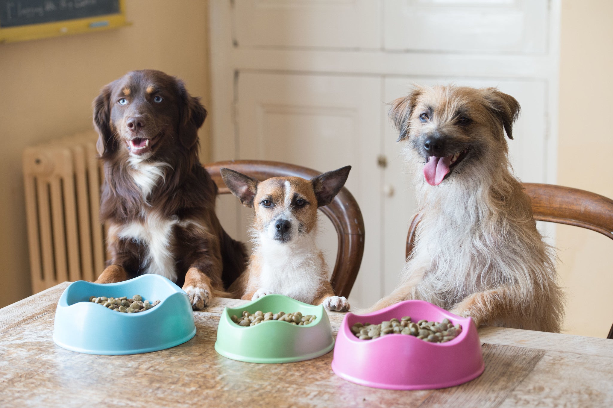 Beco Bowl - Beco Pets