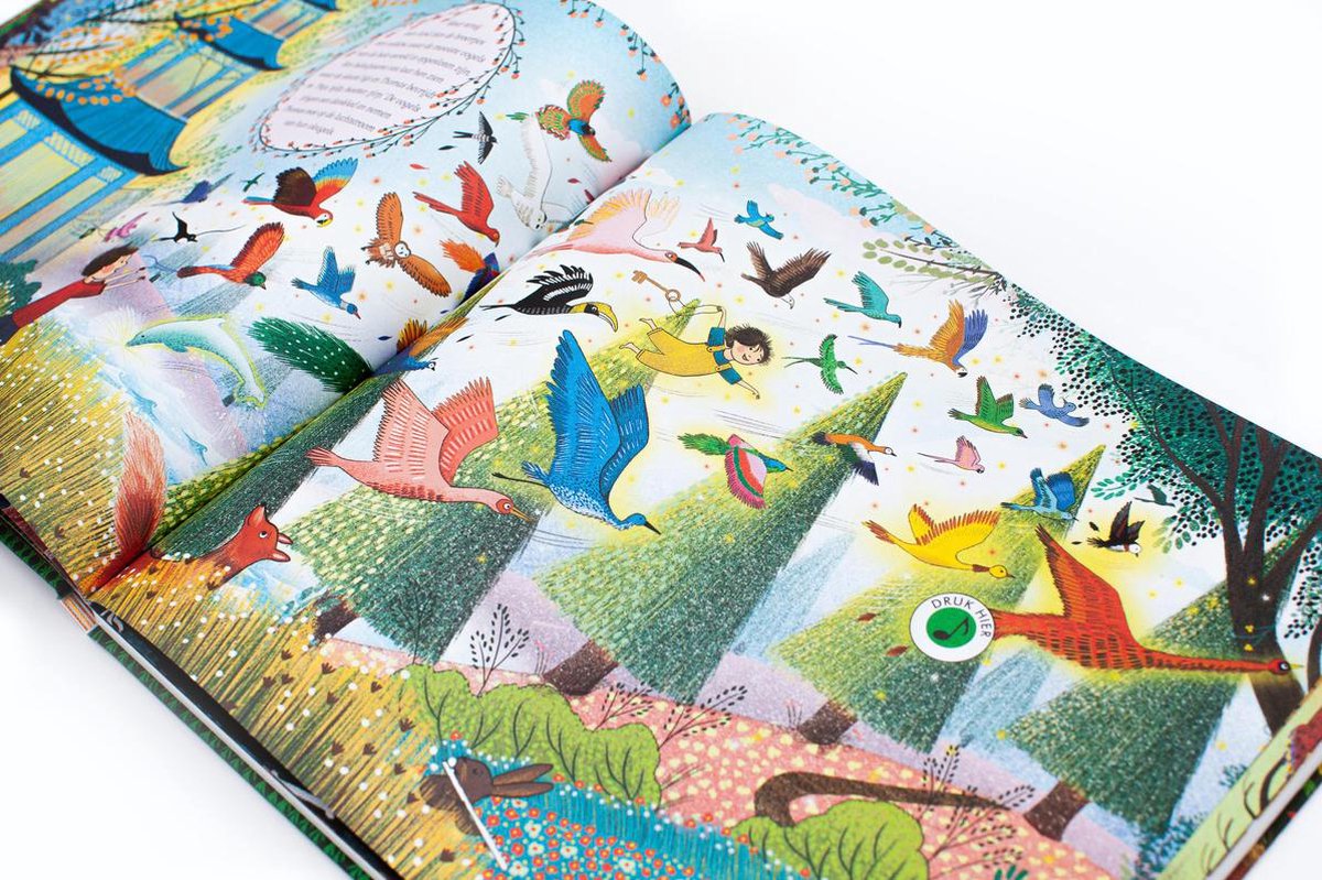 Het verhalen orkest: Carnaval der Dieren - Jessica Courtney-Tickle