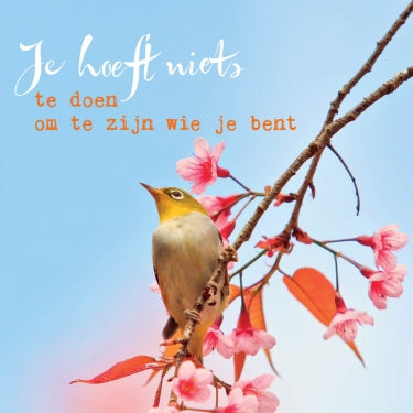 Wenskaart Je hoeft niets – Zintenz Organic Cards