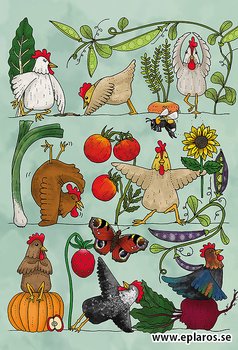 Kaart Hönsyoga / Kippen Yoga - Eplaros