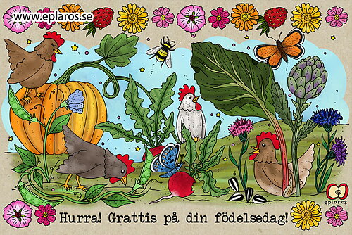 Kaart Hurra! Grattis / Hoera! Gefeliciteerd met je verjaardag - Eplaros