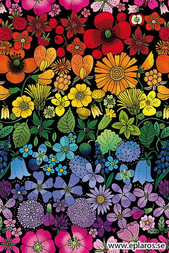 Kaart Regnbågsflora / Regenboog bloemen - Eplaros