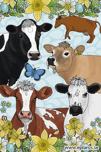 Kaart Vårkor / Lente koeien - Eplaros
