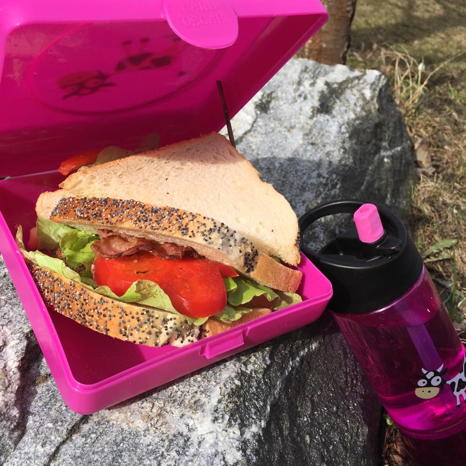 Kids Sandwich Box / Broodtrommel Giraffe Blue – Carl Oscar