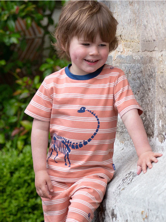 T-shirt Dippy the Dino - Kite Clothing