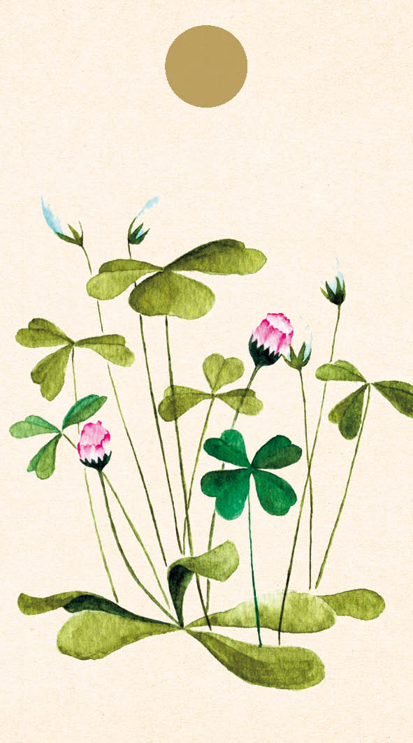 Geschenkkaartje / Gift Tag Klaver – Zintenz Organic Cards