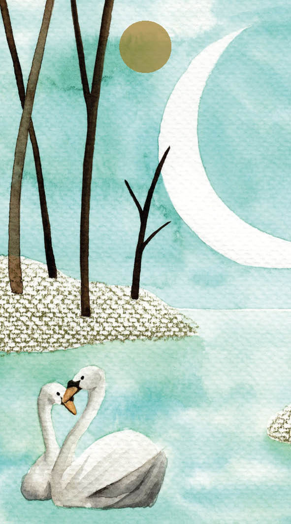 Geschenkkaartje / Gift Tag Zwanen – Zintenz Organic Cards