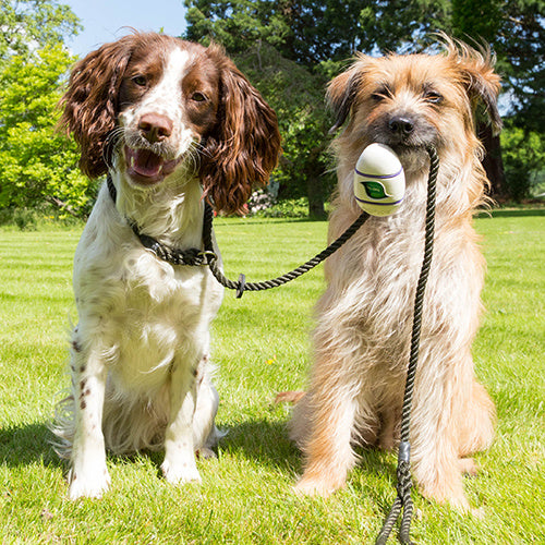 Beco Pocket - Beco Pets