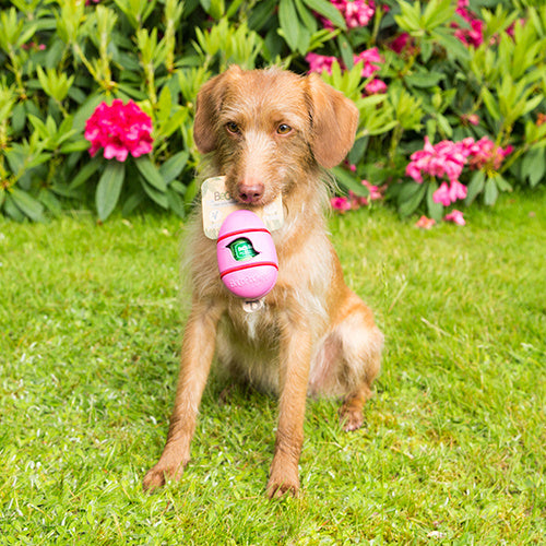 Beco Pocket - Beco Pets