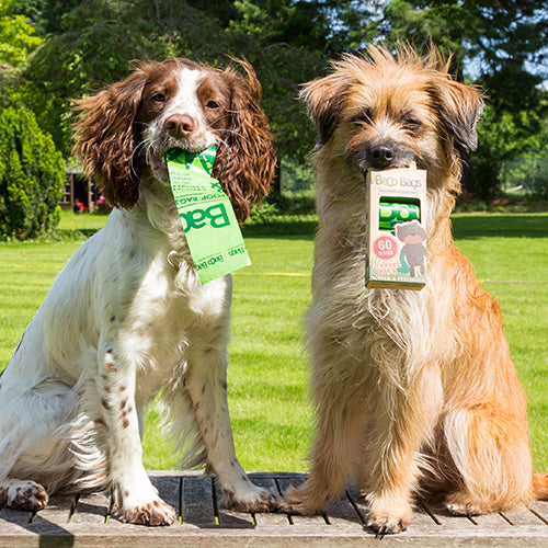 Beco Poop Bags Degradable - Beco Pets