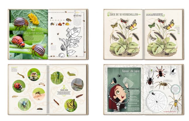 Het dubbeldikke doe-boek (3 in één: Natuur, Vogels & Insecten) - Roots