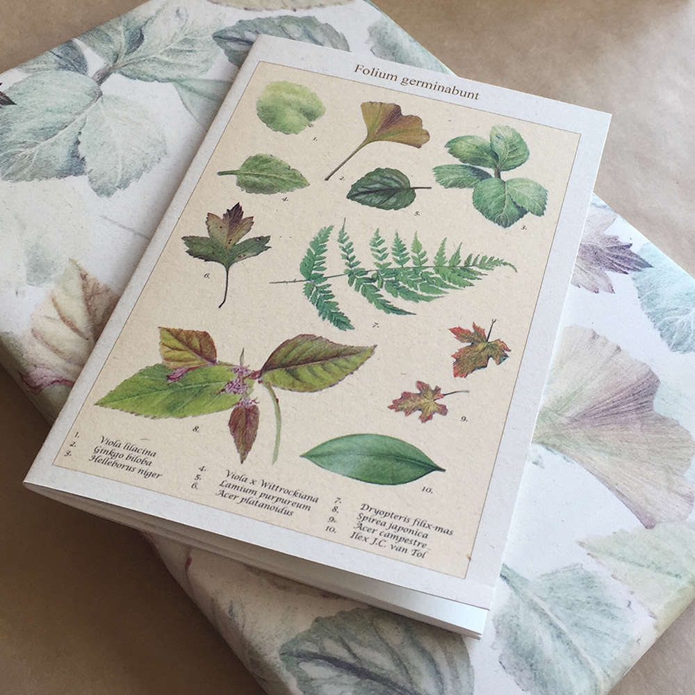 Schriftje A6 Folium Germinabunt - Landbouwafval (Paperwise) – Silly Goose