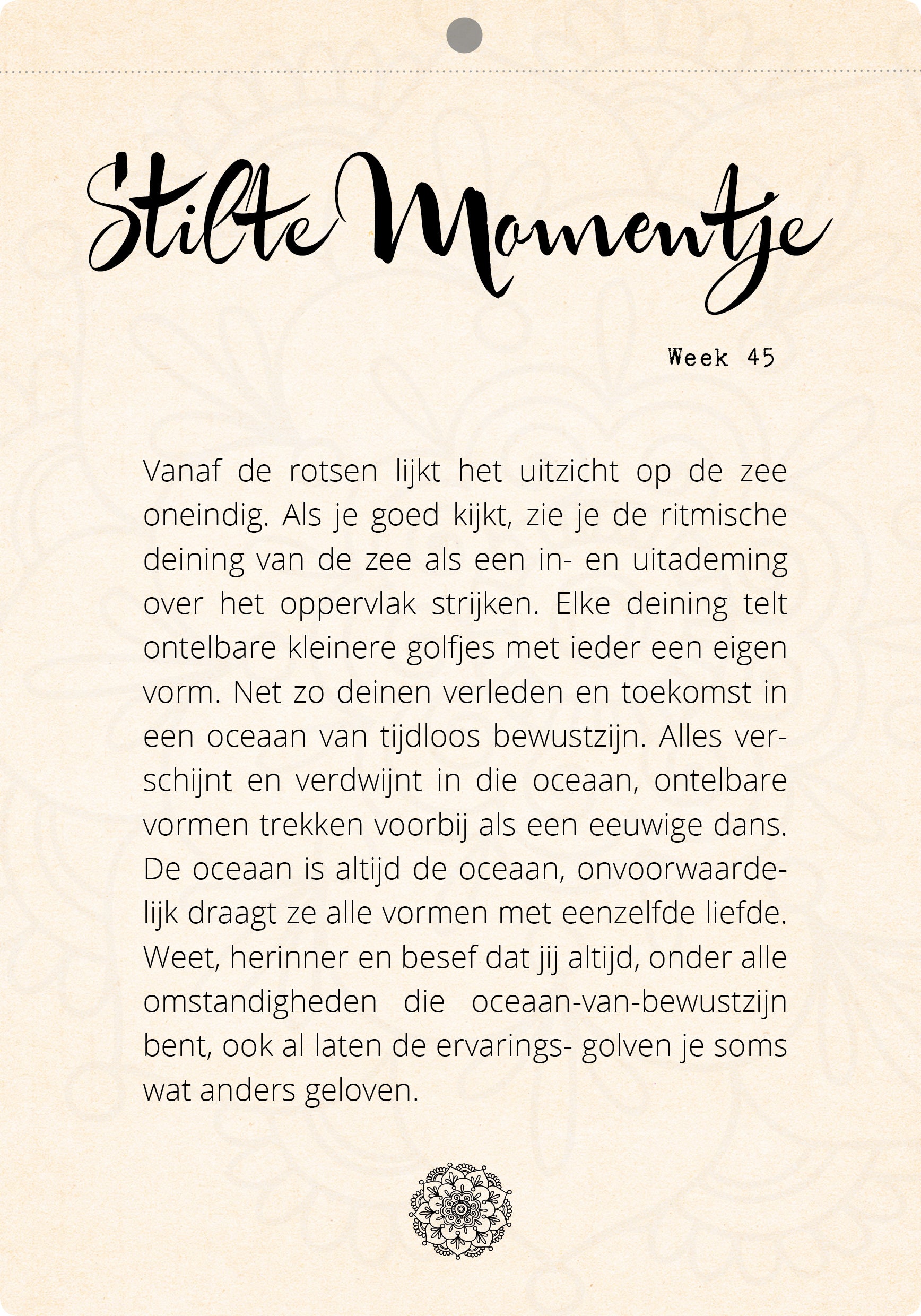 Organic Scheurkalender Stilte Momentjes – Zintenz Organic Cards