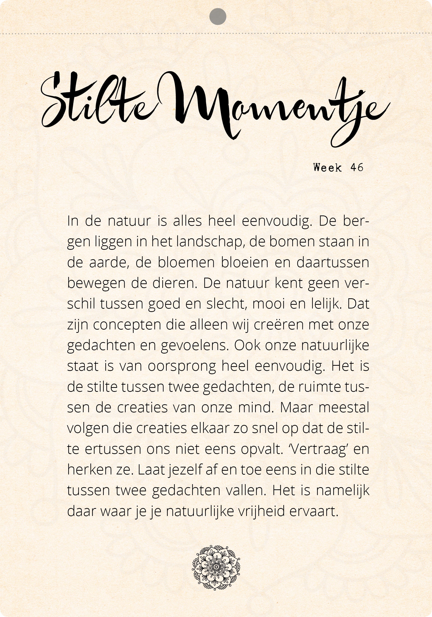 Organic Scheurkalender Stilte Momentjes – Zintenz Organic Cards