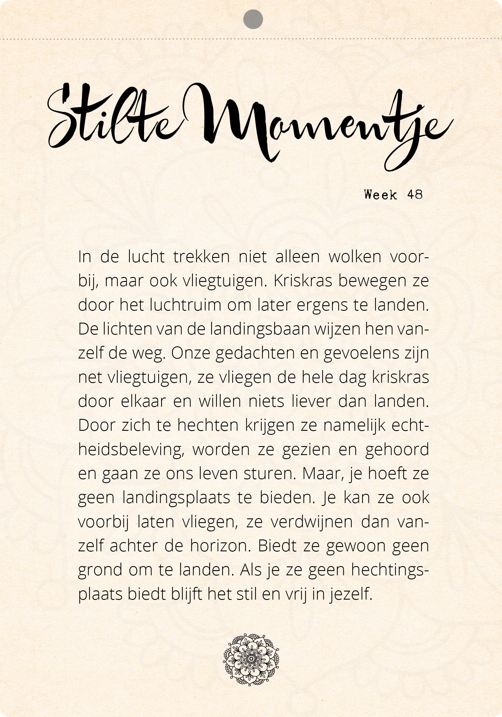 Organic Scheurkalender Stilte Momentjes – Zintenz Organic Cards