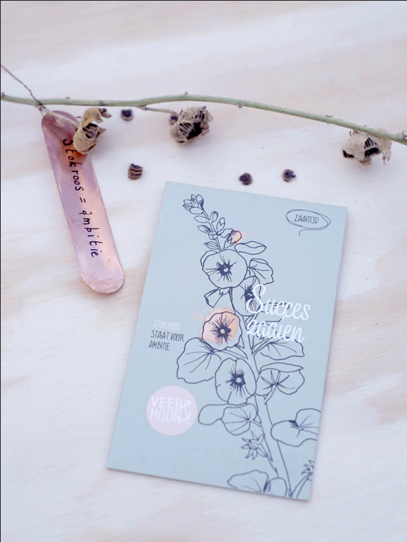 Bloemenzaden 'Succes zaaien' met champagne-kleurige stokroos - Veer&Moon