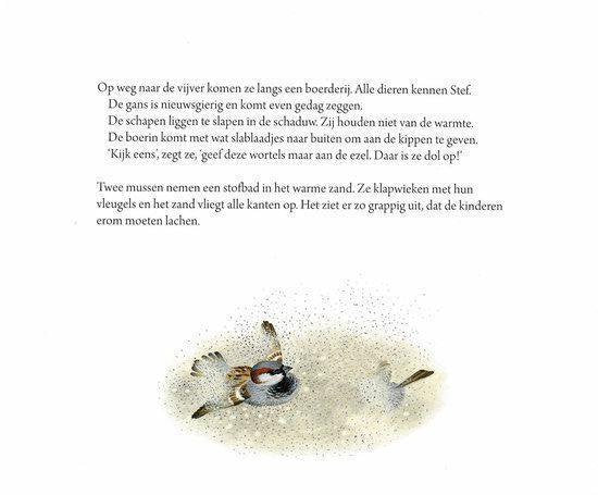 Waar gaan de dieren naartoe als het regent? – Gerda Muller