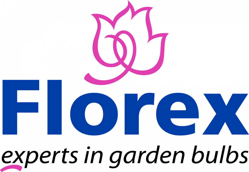 Florex