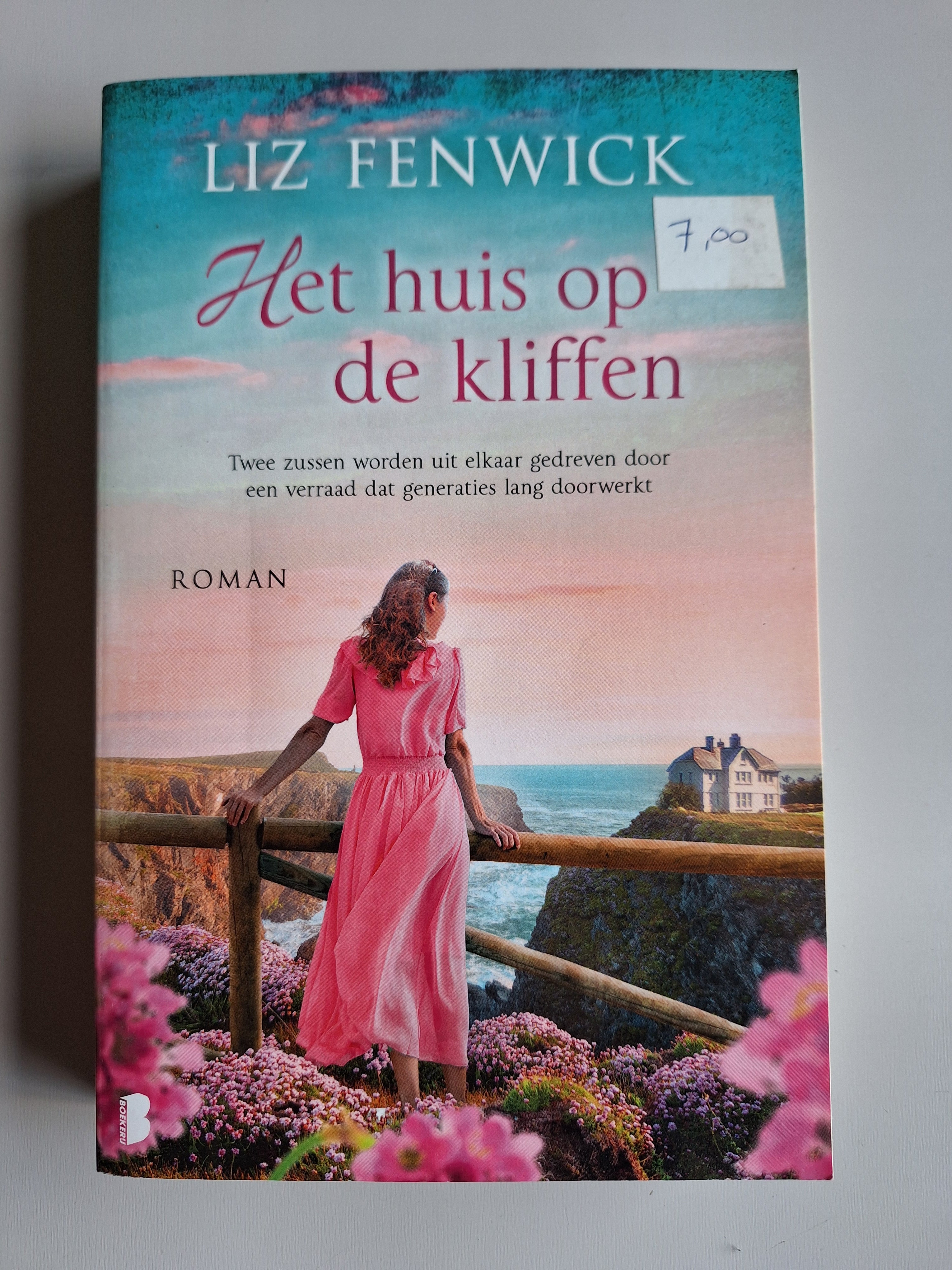 Het huis op de kliffen - Liz Fenwick - 2dehands gebruikt