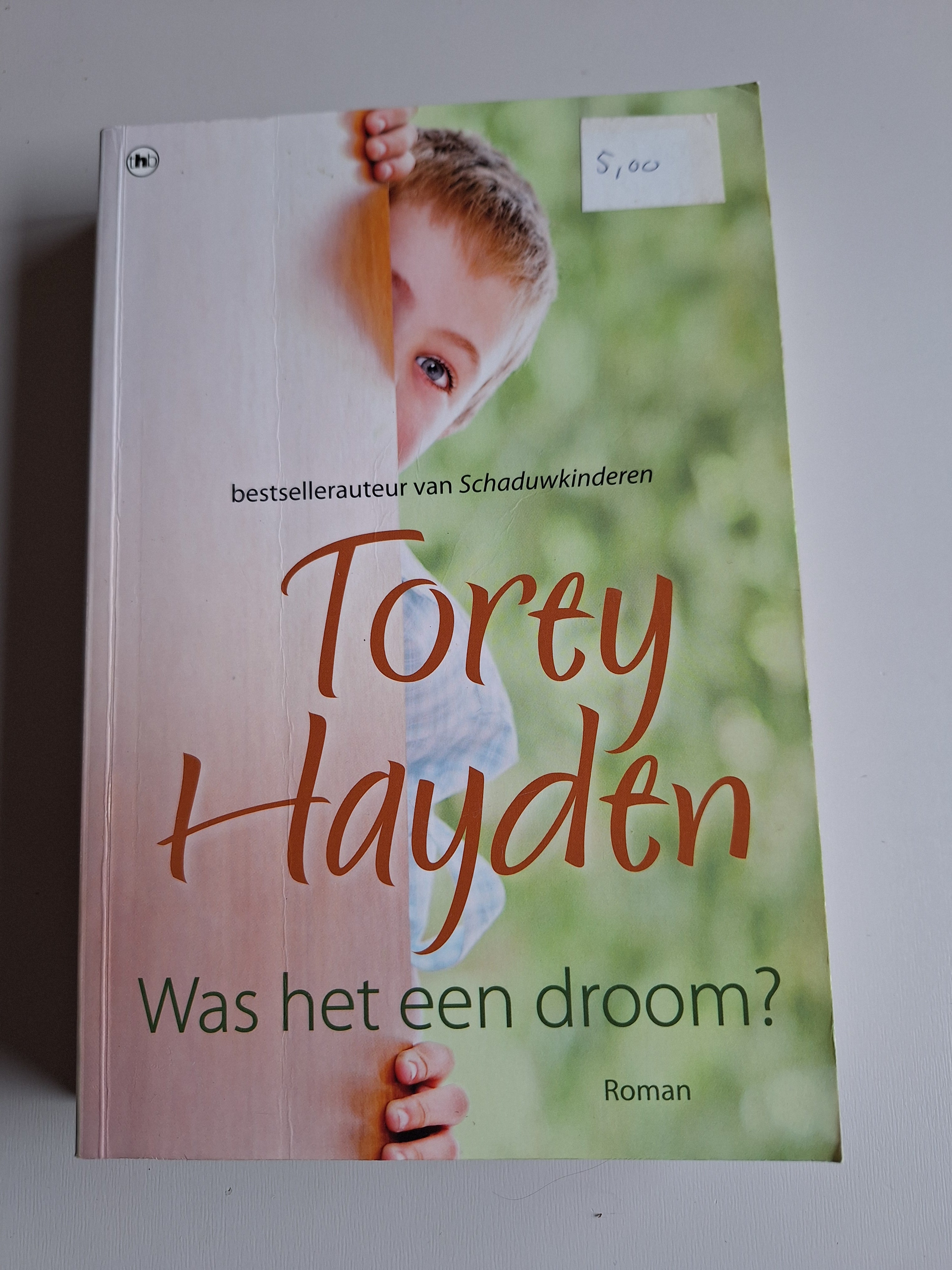 Was het een droom? - Torey Hayden - 2dehands gebruikt