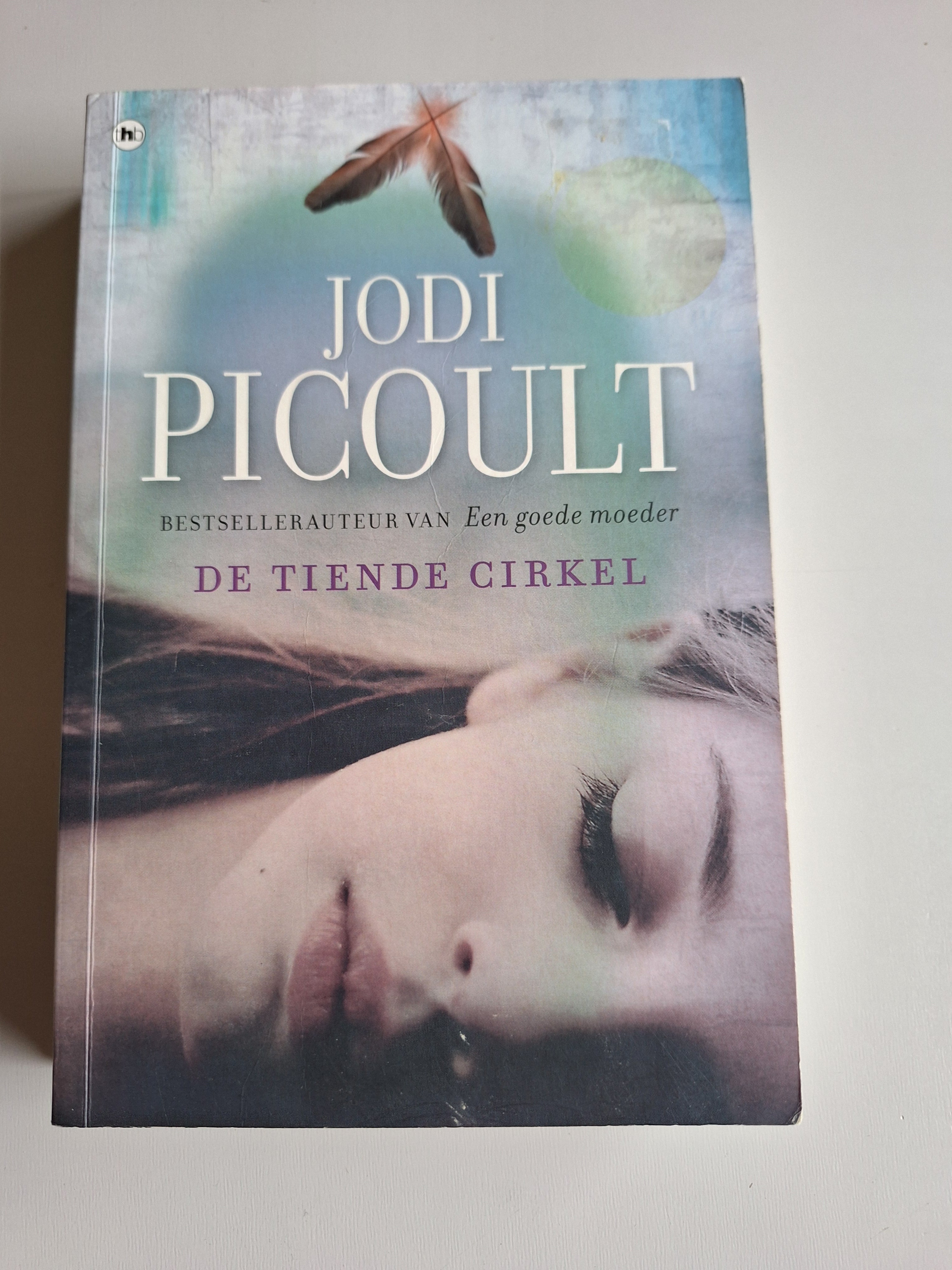 De tiende cirkel - Jodi Picoult - 2dehands gebruikt