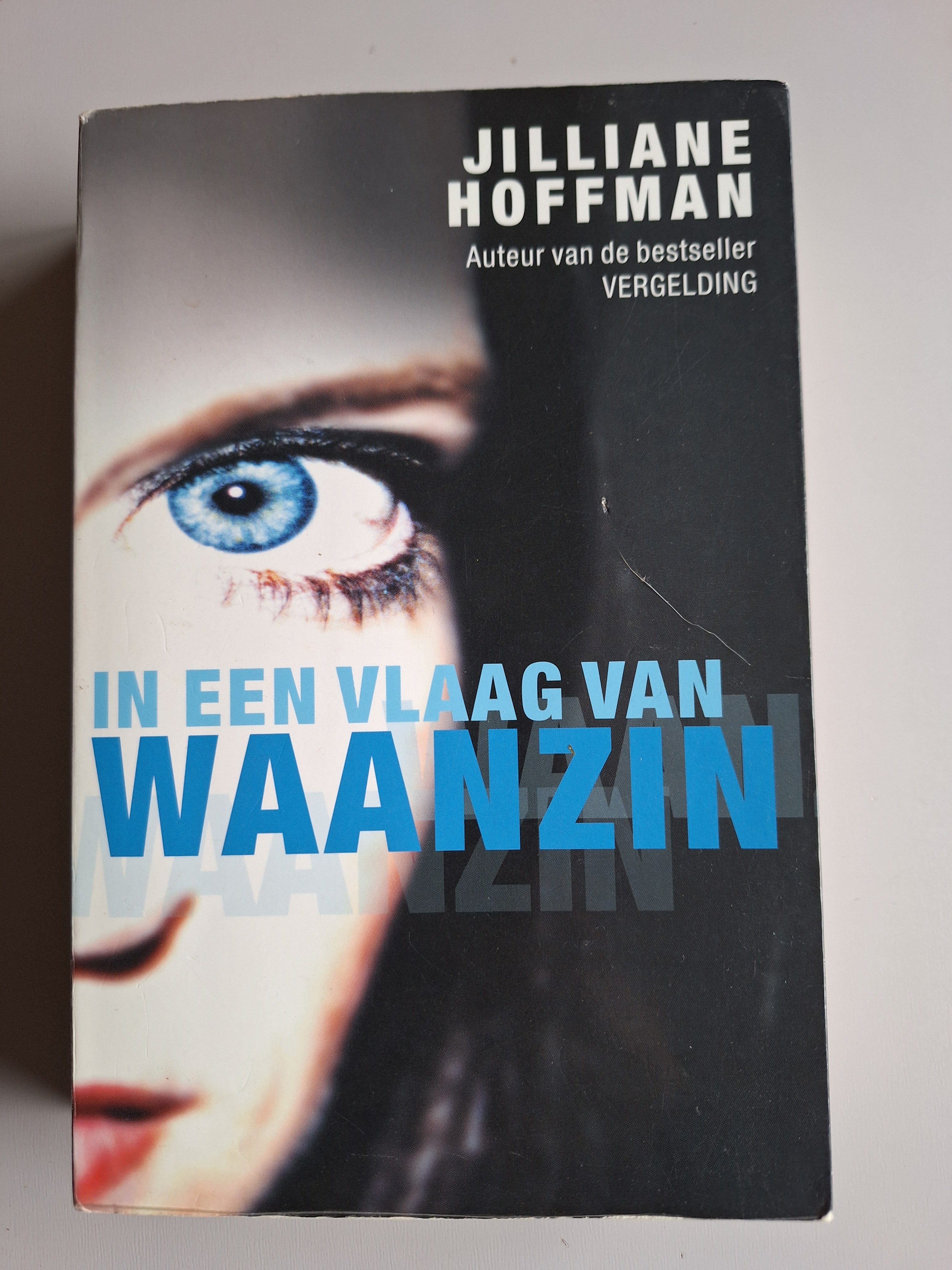 In een vlaag van waanzin - Jilliane Hoffman - 2dehands gebruikt