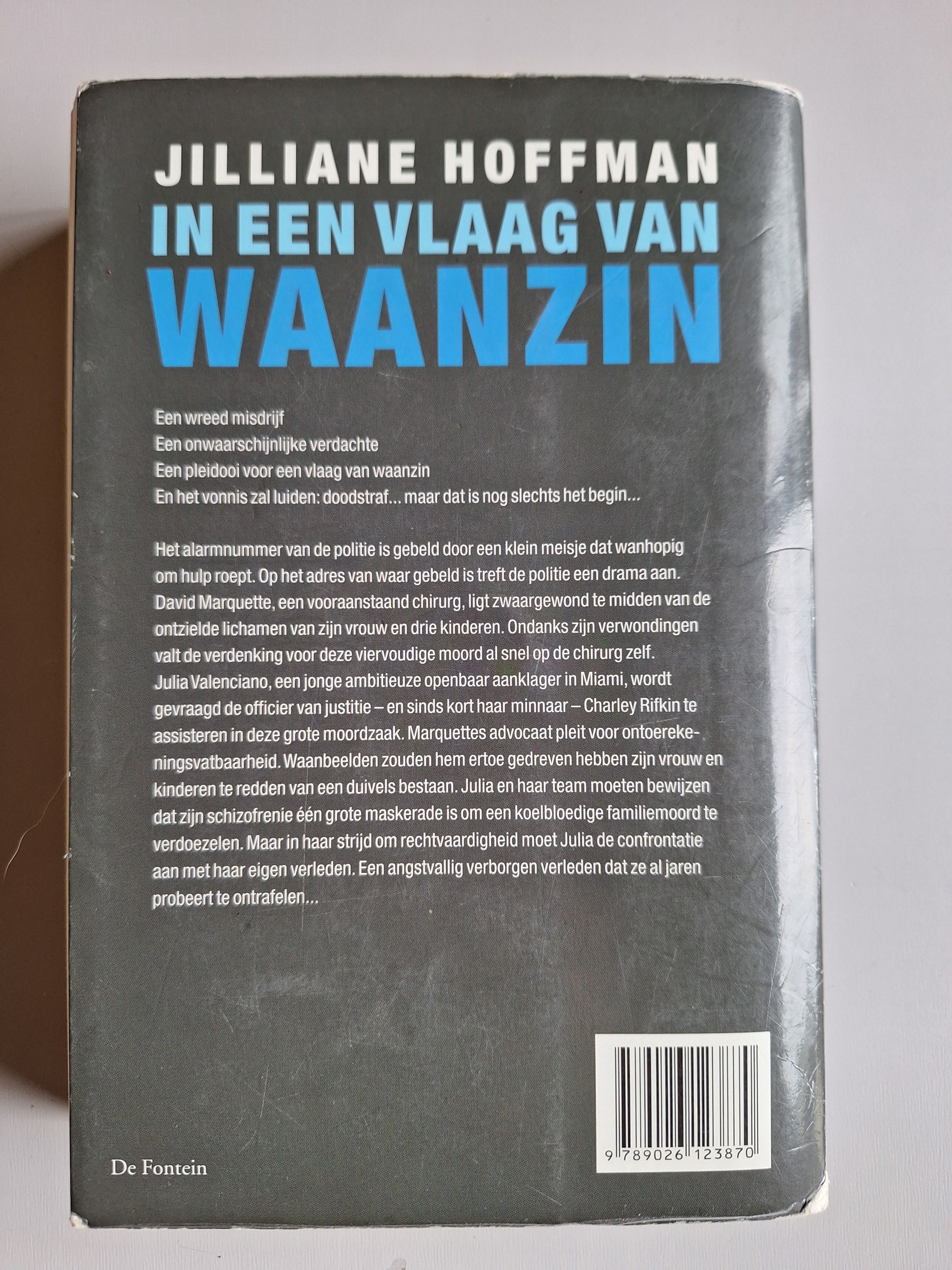 In een vlaag van waanzin - Jilliane Hoffman - 2dehands gebruikt