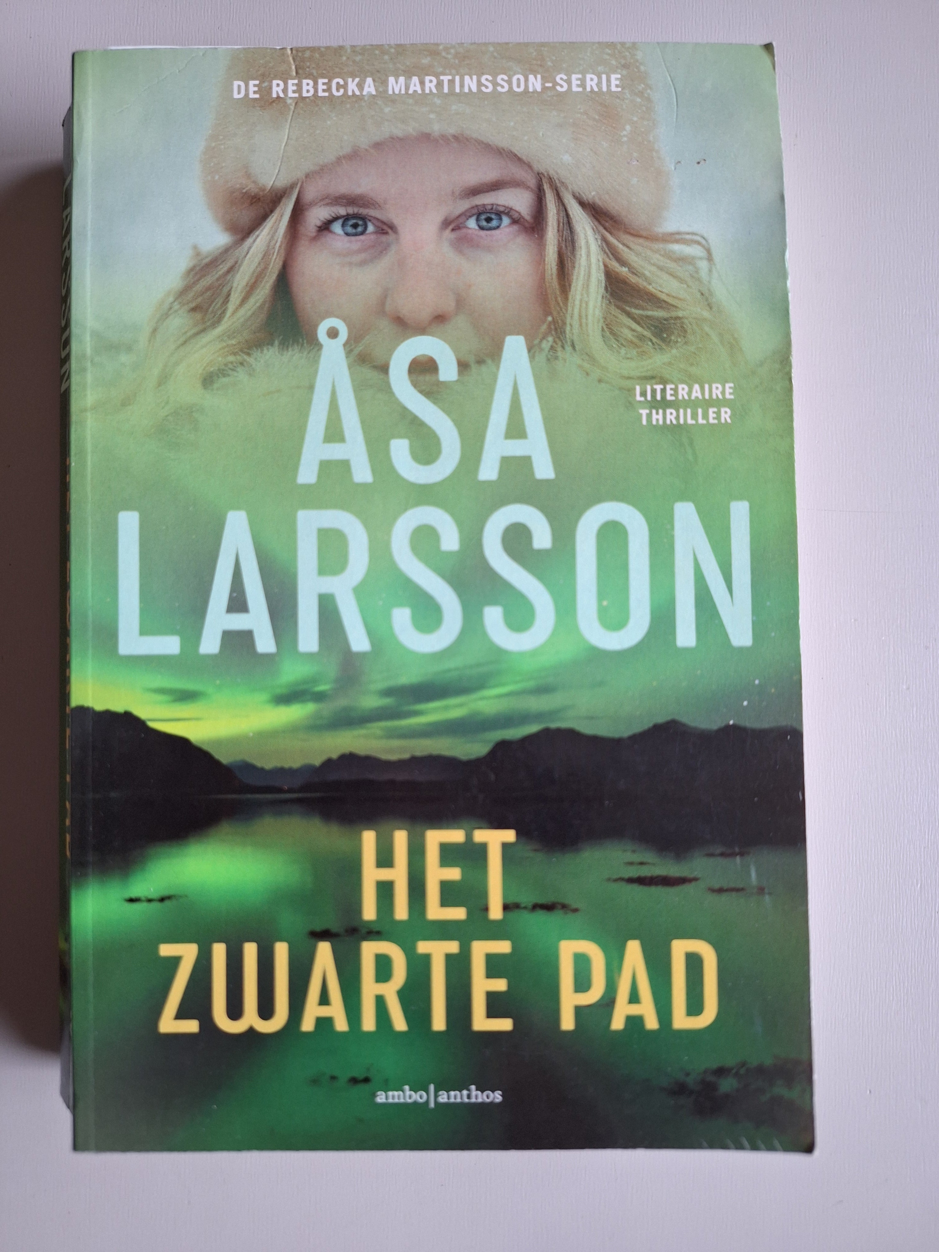 Het zwarte pad - Åsa Larsson - 2dehands gebruikt