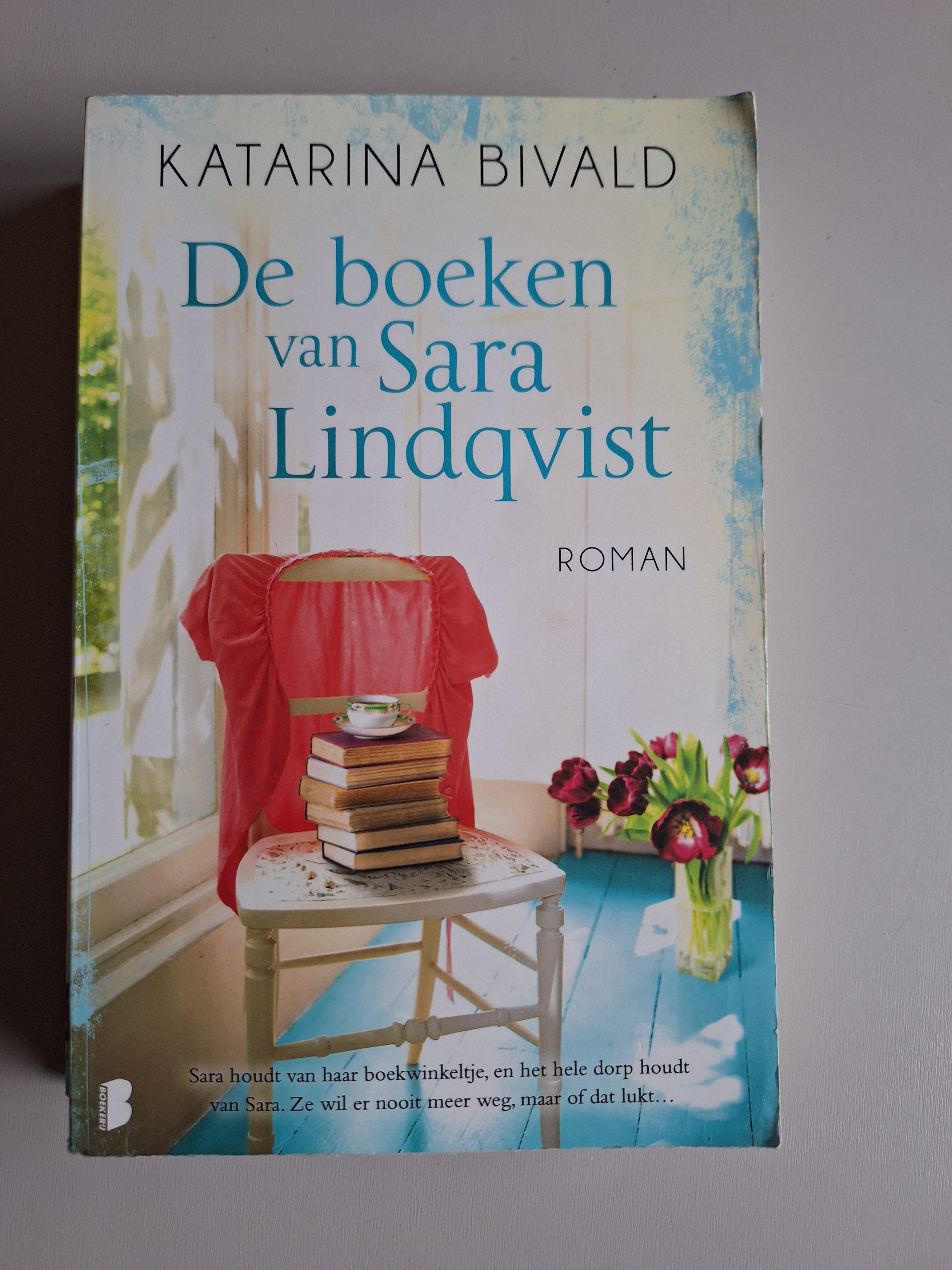 De boeken van Sara Lindqvist - Katarina Bivald - 2dehands gebruikt