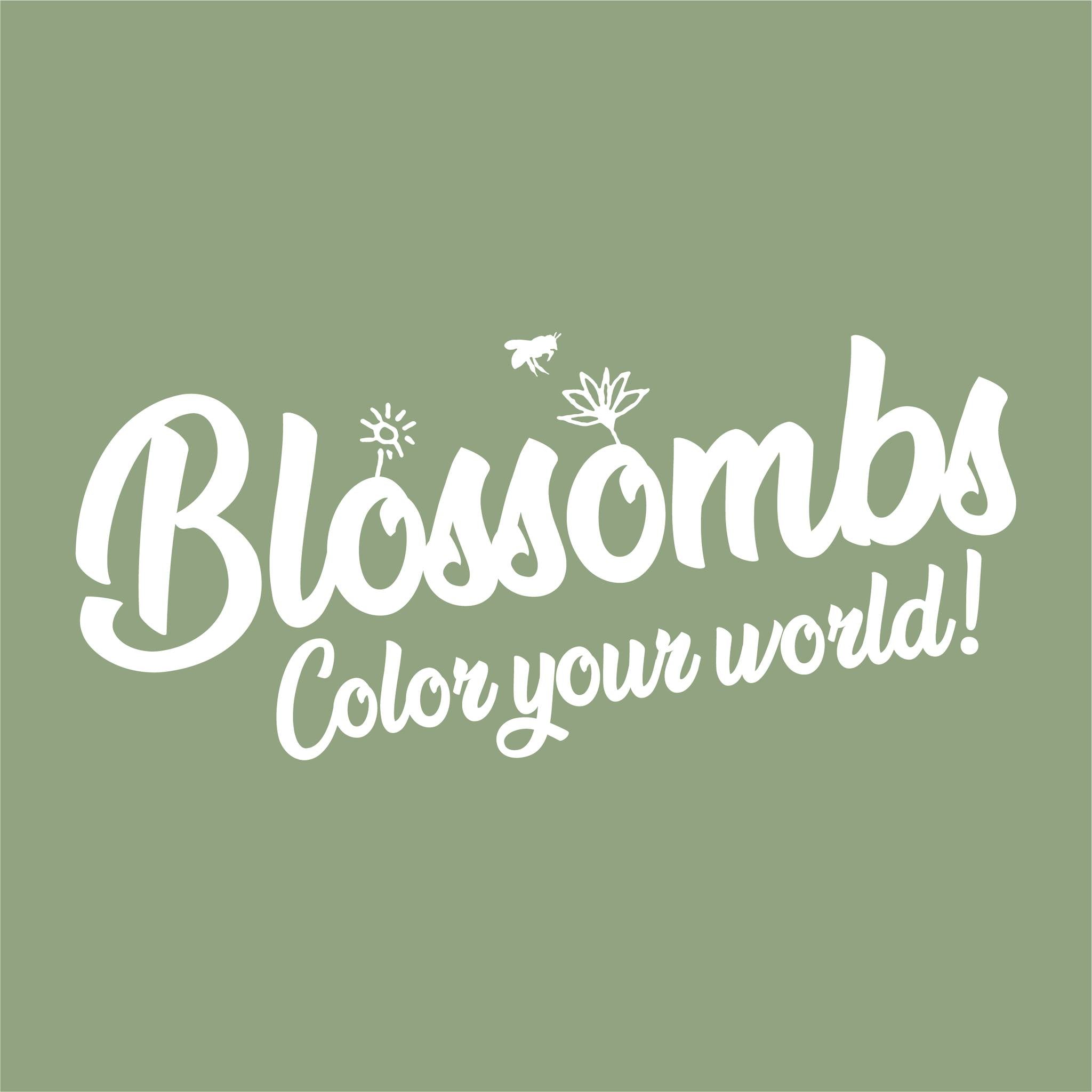 Zaadbommetjes Giftbox Mini 4 stuks - Blossombs