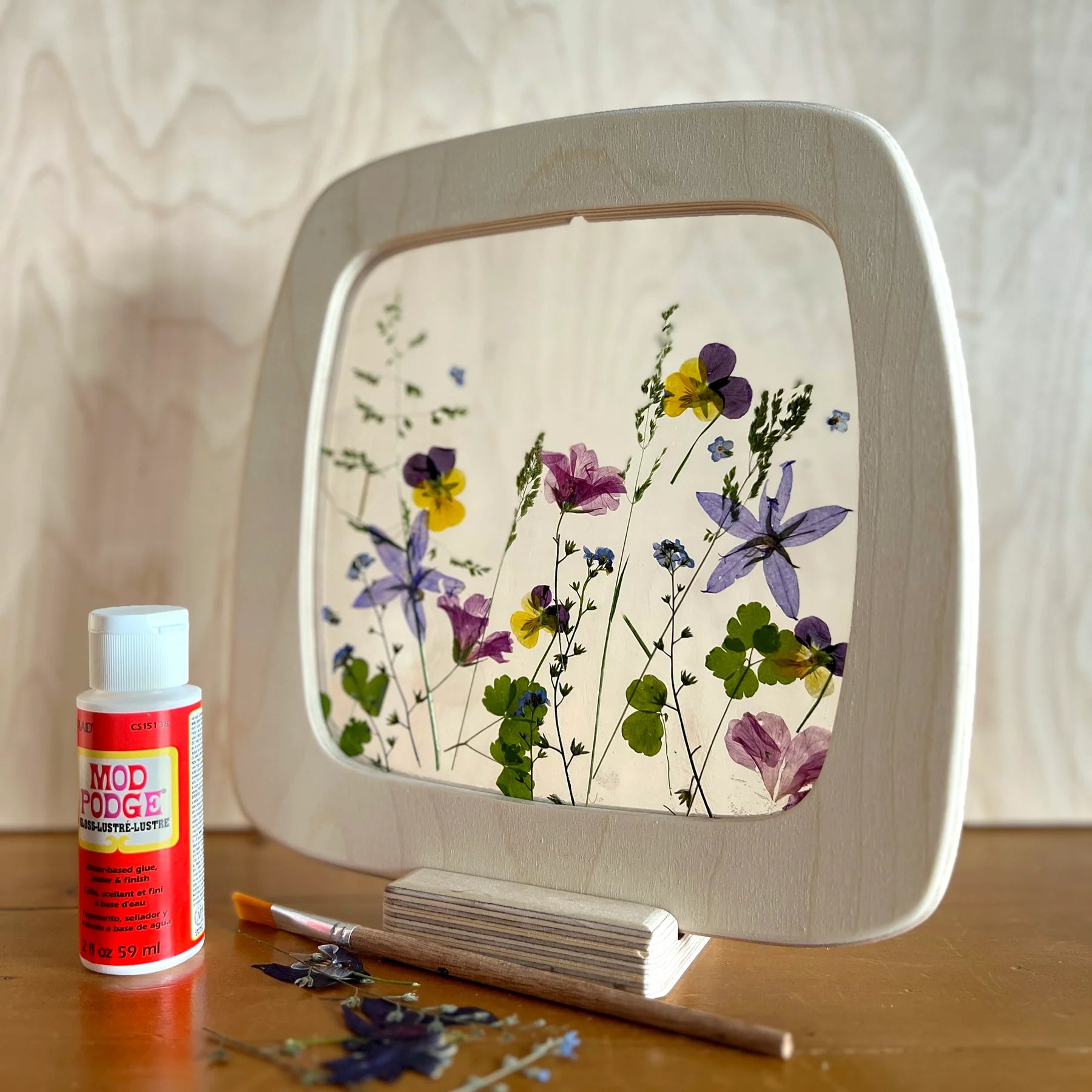 Flower Silhouette Kit DIY - Toverlux