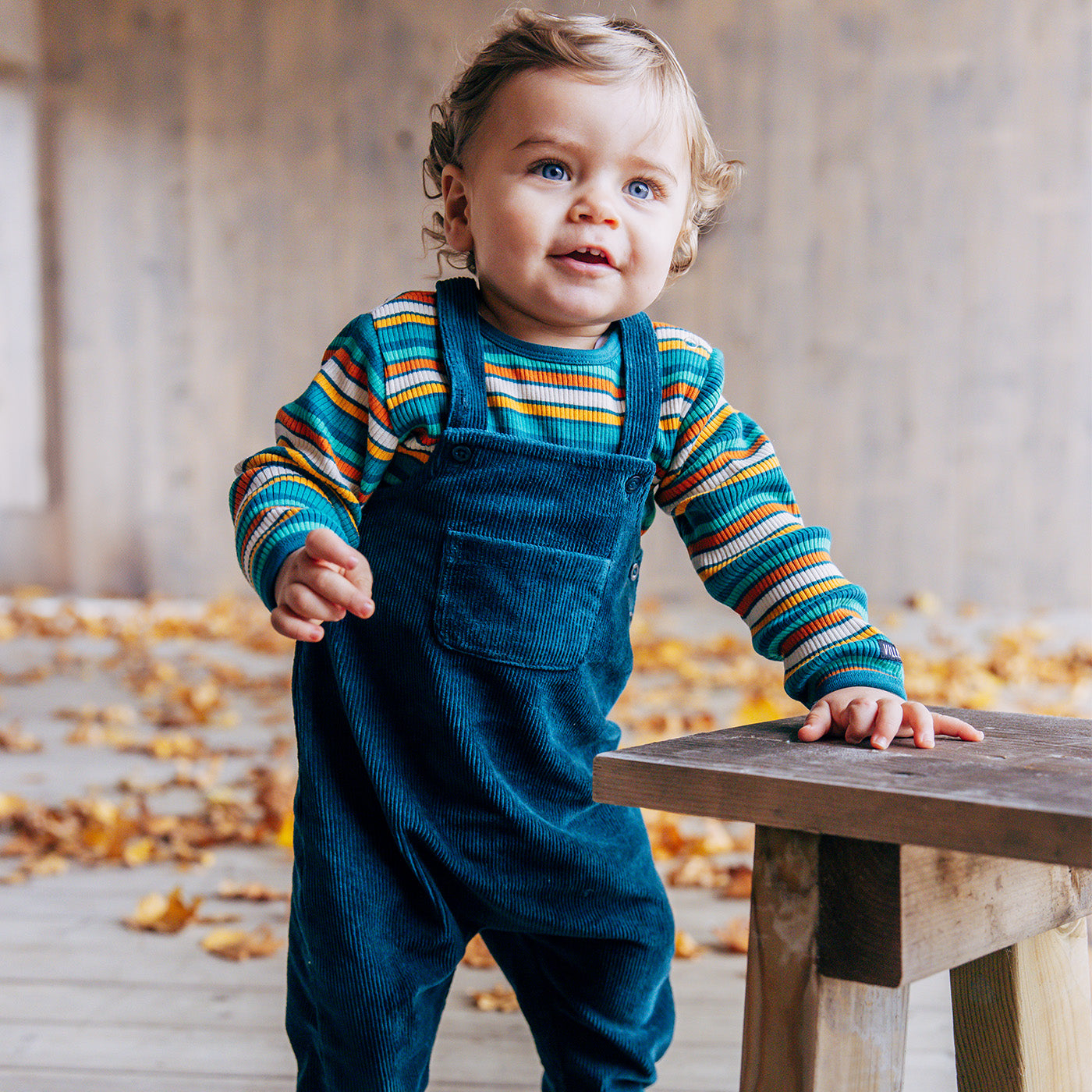 Longsleeve RIB Stripes Cypress - Villervalla