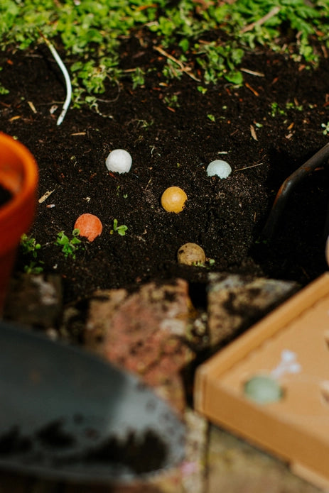 Moederdag Zaadbommetjes Giftbox Medium “Best mum” - Blossombs