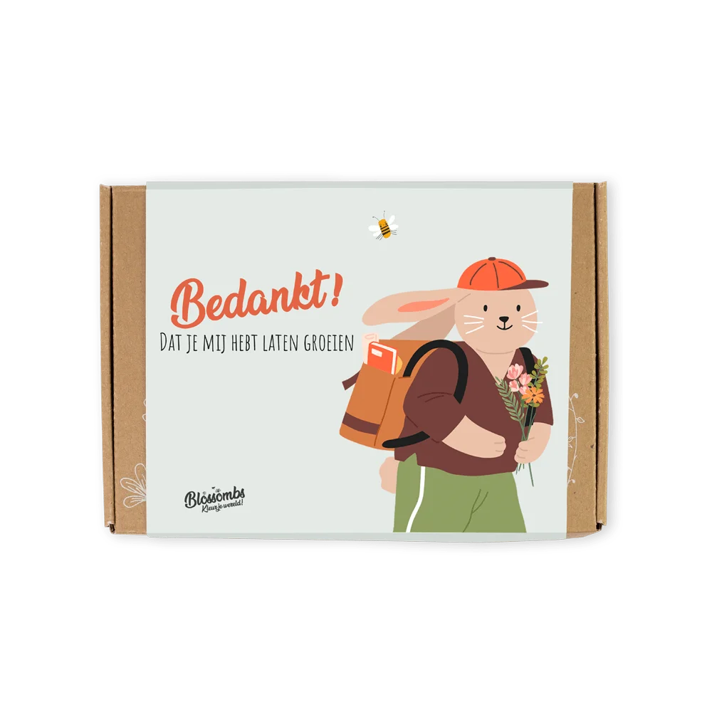 Zaadbommetjes Giftbox Small "Bedankt" - Blossombs