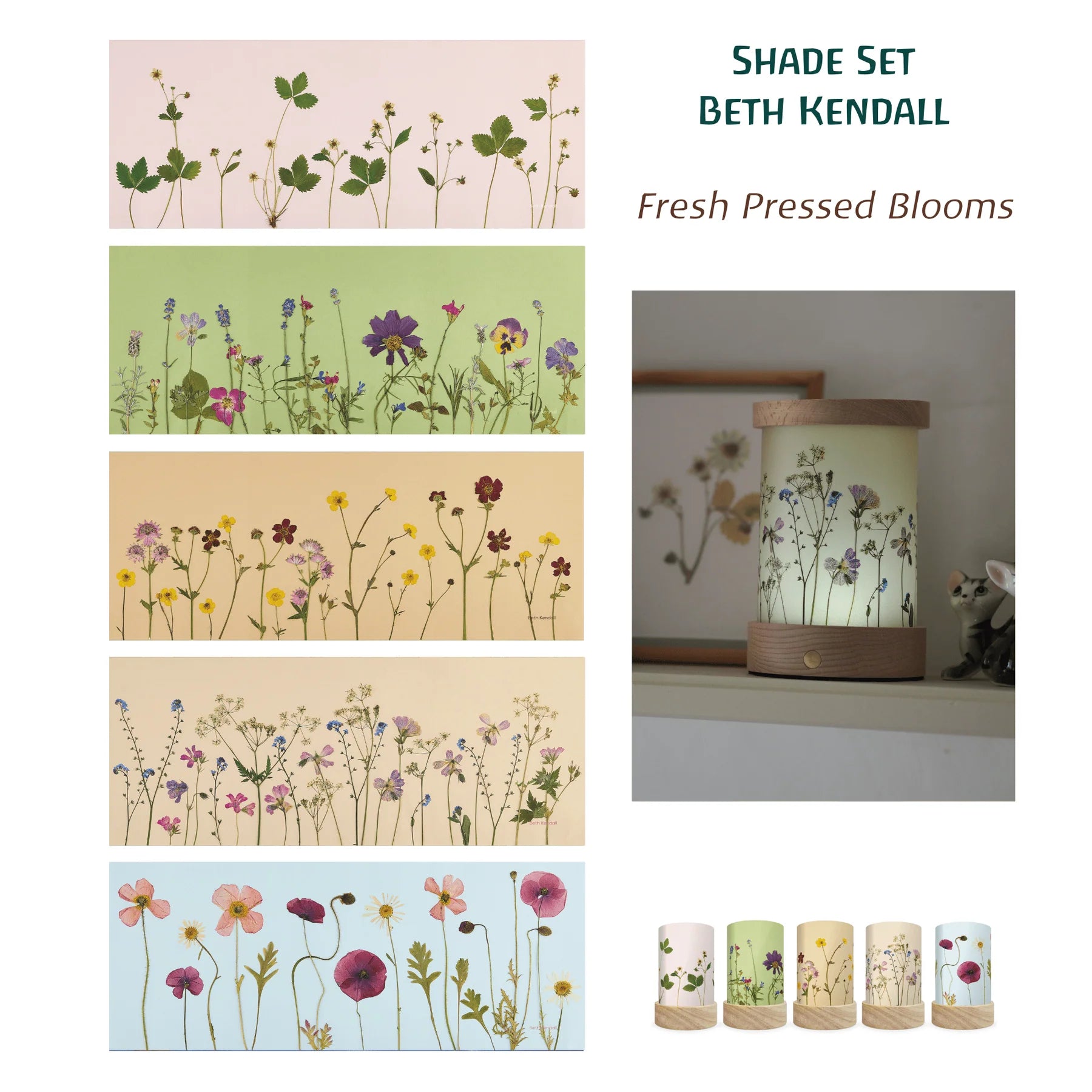 Toverlux Shades Set Pressed Flower Blooms / Droogbloemen – Beth Kendall