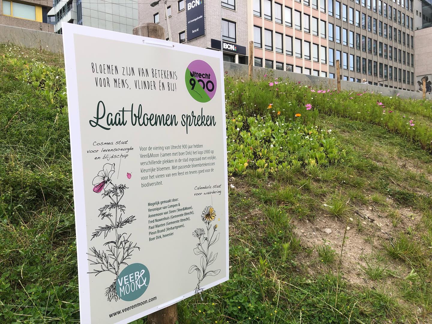 Bloemenzaden 'Geluk Zaaien' met Lathyrus - Veer&Moon