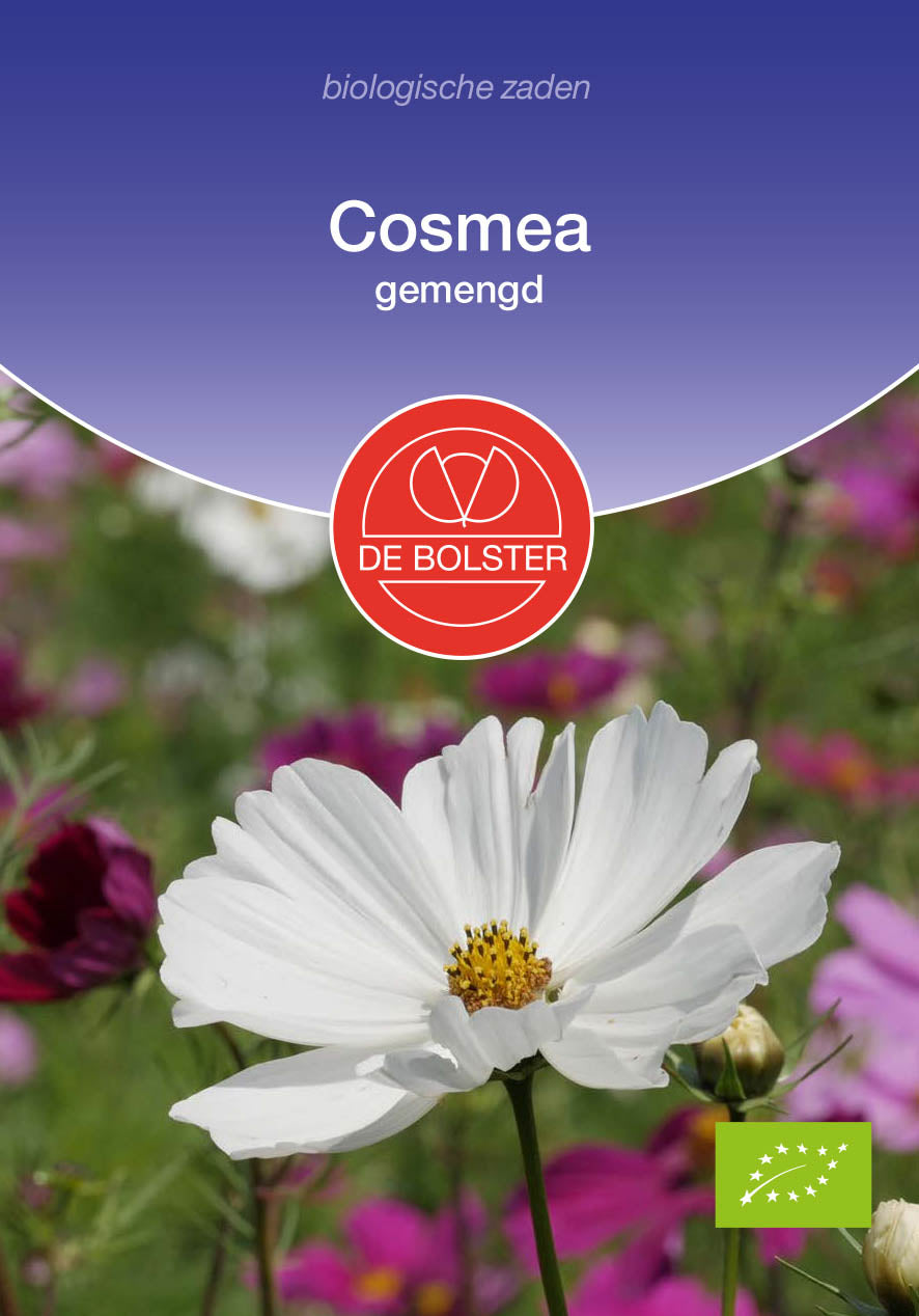 Cosmea gemengd biologische zaden - De Bolster