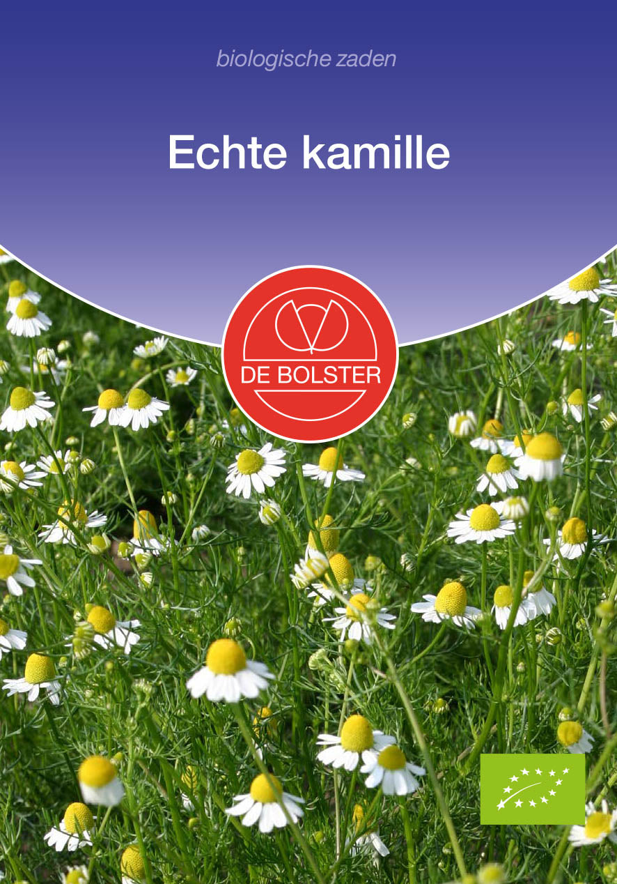 Echte Kamille biologische zaden - De Bolster